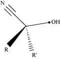 NCERT Solutions Class 12 Chemistry Chapter 8 - Aldehydes, Ketones & Carboxylic Acids